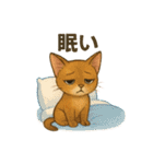 猫いろいろ日常会話12（個別スタンプ：19）