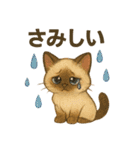 猫いろいろ日常会話12（個別スタンプ：22）
