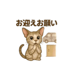 猫いろいろ日常会話12（個別スタンプ：25）