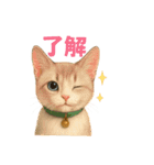猫いろいろ日常会話12（個別スタンプ：30）