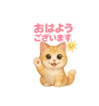猫いろいろ日常会話12（個別スタンプ：31）
