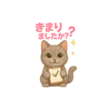 猫いろいろ日常会話12（個別スタンプ：37）