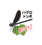 ハグロンが飛んできたよ！（個別スタンプ：2）
