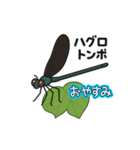 ハグロンが飛んできたよ！（個別スタンプ：5）