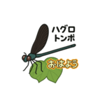 ハグロンが飛んできたよ！（個別スタンプ：6）