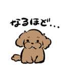 健やかトイプー（個別スタンプ：1）