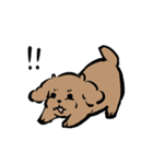 健やかトイプー（個別スタンプ：8）