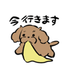 健やかトイプー（個別スタンプ：15）