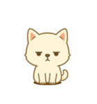 白柴の日常生活スタンプ（個別スタンプ：5）