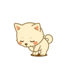白柴の日常生活スタンプ（個別スタンプ：11）