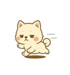 白柴の日常生活スタンプ（個別スタンプ：14）