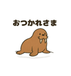 ゆるかわセイウチ日常スタンプ（個別スタンプ：7）