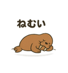 ゆるかわセイウチ日常スタンプ（個別スタンプ：8）
