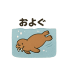 ゆるかわセイウチ日常スタンプ（個別スタンプ：10）
