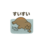 ゆるかわセイウチ日常スタンプ（個別スタンプ：16）