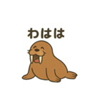 ゆるかわセイウチ日常スタンプ（個別スタンプ：20）