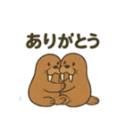 ゆるかわセイウチ日常スタンプ（個別スタンプ：23）