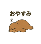 ゆるかわセイウチ日常スタンプ（個別スタンプ：24）