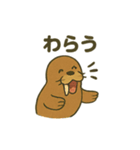 ゆるかわセイウチ日常スタンプ（個別スタンプ：33）