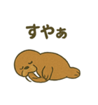 ゆるかわセイウチ日常スタンプ（個別スタンプ：40）