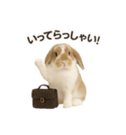 うさンプ:kinako（日常）（個別スタンプ：2）