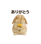 うさンプ:kinako（日常）（個別スタンプ：19）