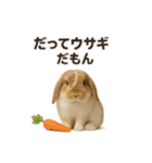 うさンプ:kinako（日常）（個別スタンプ：26）