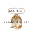 うさンプ:kinako（日常）（個別スタンプ：27）