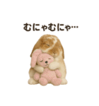 うさンプ:kinako（日常）（個別スタンプ：33）