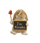 うさンプ:kinako（日常）（個別スタンプ：39）