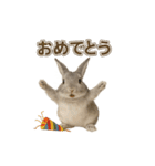 うさンプ:mowchan（日常）（個別スタンプ：3）