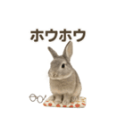 うさンプ:mowchan（日常）（個別スタンプ：26）