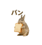 うさンプ:mowchan（日常）（個別スタンプ：28）