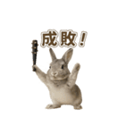 うさンプ:mowchan（日常）（個別スタンプ：32）
