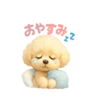 ふわふわトイプードルのスタンプ3（個別スタンプ：1）