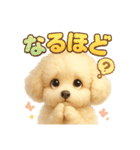 ふわふわトイプードルのスタンプ3（個別スタンプ：11）