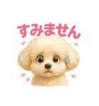 ふわふわトイプードルのスタンプ3（個別スタンプ：13）