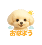 ふわふわトイプードルのスタンプ3（個別スタンプ：17）