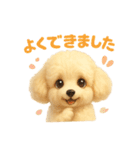 ふわふわトイプードルのスタンプ3（個別スタンプ：24）