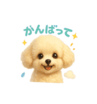 ふわふわトイプードルのスタンプ3（個別スタンプ：25）