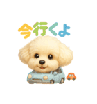 ふわふわトイプードルのスタンプ3（個別スタンプ：35）