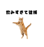 飲みたい猫（個別スタンプ：7）