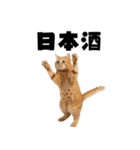 飲みたい猫（個別スタンプ：18）