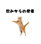 飲みたい猫（個別スタンプ：21）