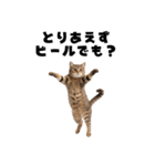 飲みたい猫（個別スタンプ：22）