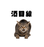 飲みたい猫（個別スタンプ：33）