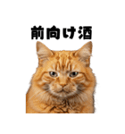 飲みたい猫（個別スタンプ：39）
