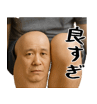 膝小僧  (毎日凄く使える膝の会話、返信)（個別スタンプ：8）
