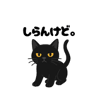 黒猫まる（個別スタンプ：12）