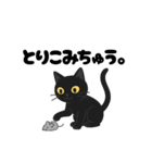 黒猫まる（個別スタンプ：24）